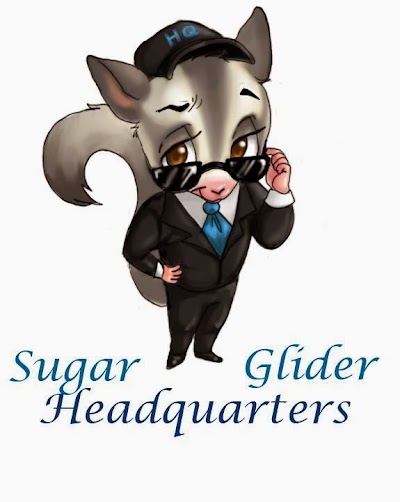 Sugar Glider Headquarters