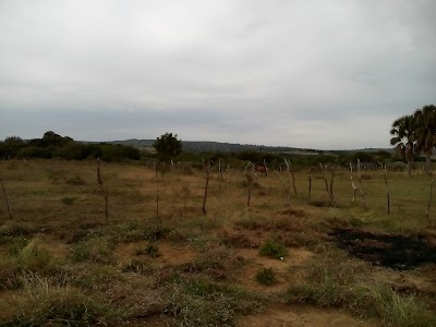 Photos of Iglesia