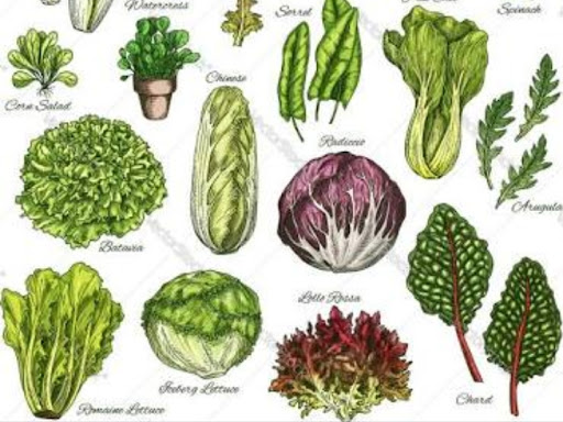 Benifits of Leafy vegetables 