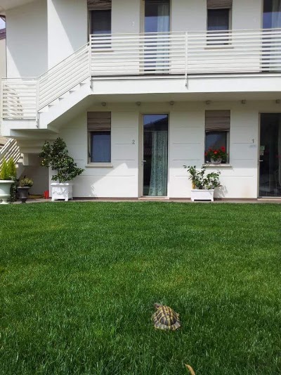 Photos of B & B Dimora Delle Emme