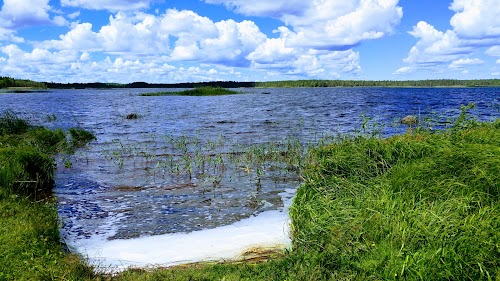 Kaisma Suurjärve puhkeküla jahimajake