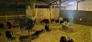 Photo n°28 de Les Chèvres du Châtellier à Lys-Haut-Layon (Ferme bio)