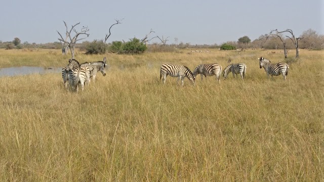 Kwara Camp