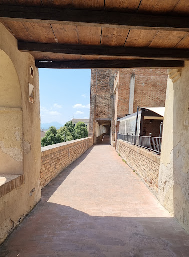 Comune di Morro d'Alba Gallery - Italy