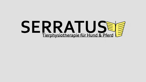 Serratus Tierphysiotherapie für Hund und Pferd - Thumbnail