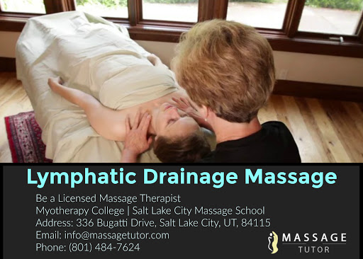 Massage Tutor - Visual