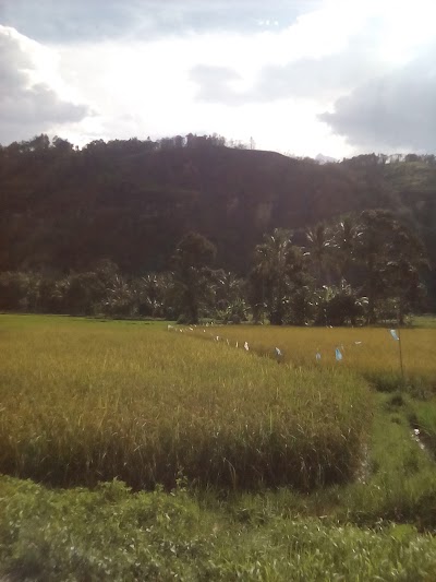 Photos of Puti Sari Banilai Homestay
