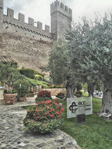 Bcc di Gradara - Filiale 01