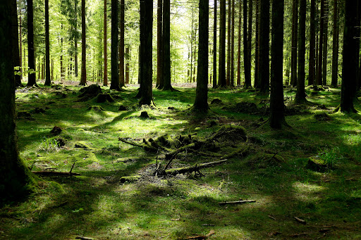 Wanderportal Kühhude - Thumbnail