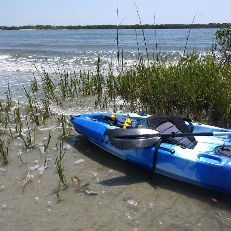 kayak tours daytona beach