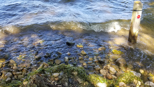North Buchanan Beach - Thumbnail