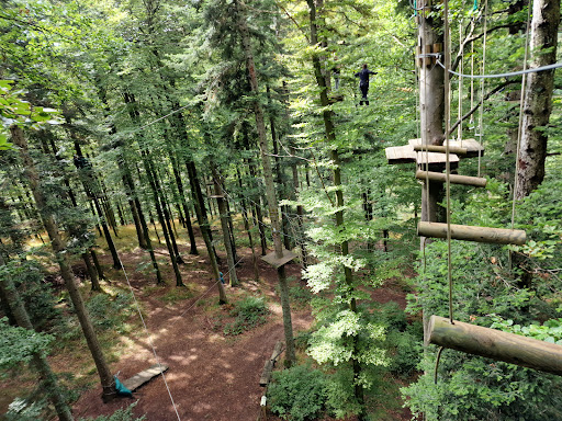 Alsace Adventure Park - Thumbnail