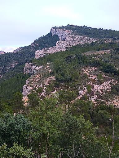 Montalt Gallery - Spain