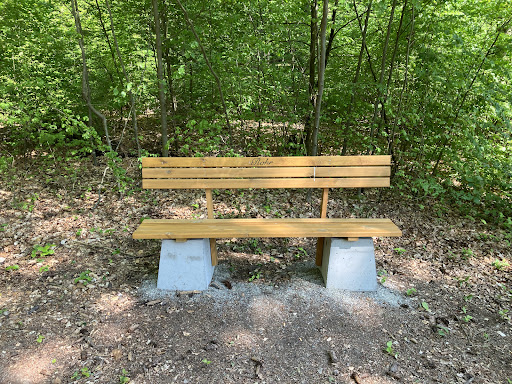 Dreiherrenstein - Visual