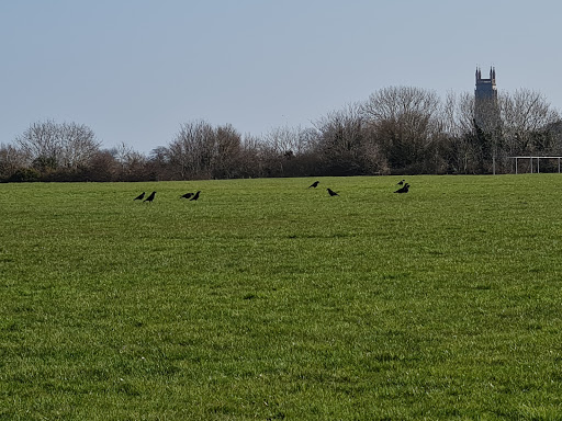 Windmill Hill - Visual