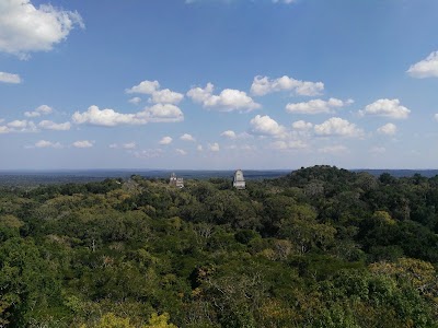 Photos of Jungle Lodge
