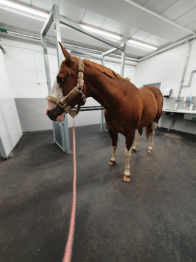 Mälaren Hästklinik AB - Thumbnail