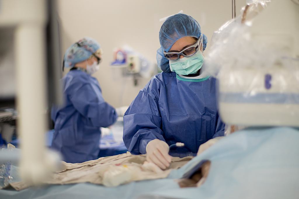 Siu Medicine Cardiothoracic Surgery