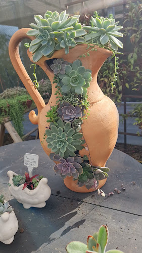 Avaliações sobre Rossatto Garden Center em Porto Alegre - Floricultura