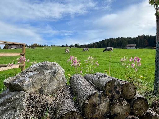 Streichelfarm - Visual