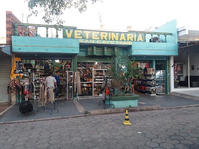veterinary-care