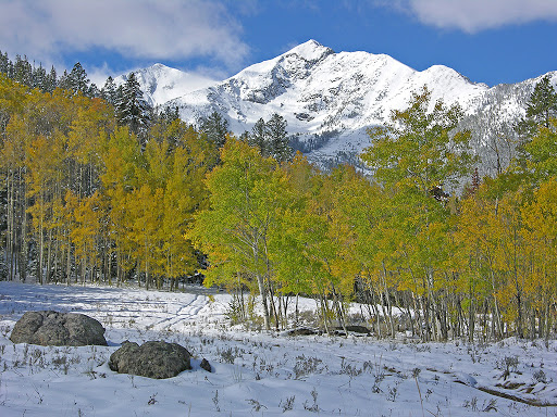 Laura Karden: Keller Williams Top of the Rockies