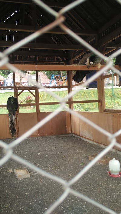 Photos of Gili Pandan
