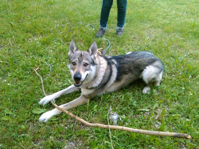 Parco di Villa Angeletti