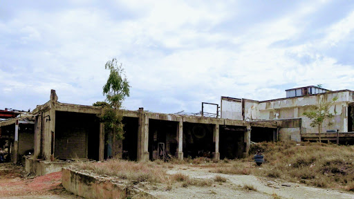Cape River - Visual
