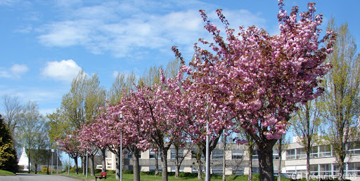 Photo de Résidence Pierre-Yvon Trémel