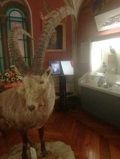 Museo Civico Craveri di Storia Naturale