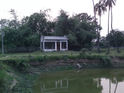 Photos of Brooder House, dept. of Veterinary, Rajshahi University.