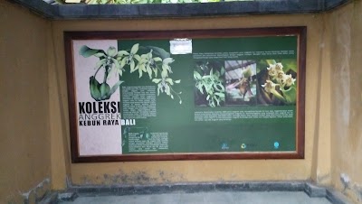 Photos of Orchid garden
