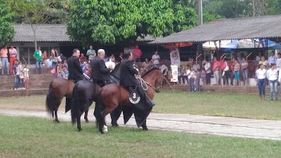 Photos of Subasta Ganadera De San Martin