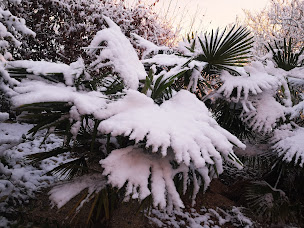 Photo n°54 de DOMAINE DE LA BORDE à Damparis (Restaurant)