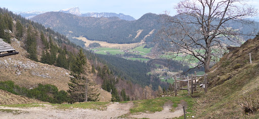 Waxenlehen - Thumbnail