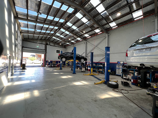 AUTO RANGE - Visual