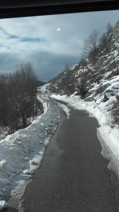 Photos of Braca Maras