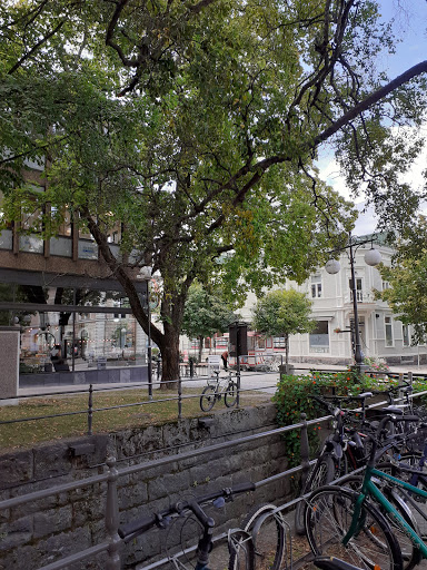 Hudiksvalls kommun Kommunledningsförvaltningen - Thumbnail