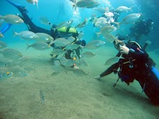 Eastcote Sub Aqua Diving Club london