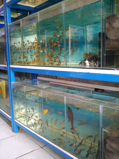 aquarium