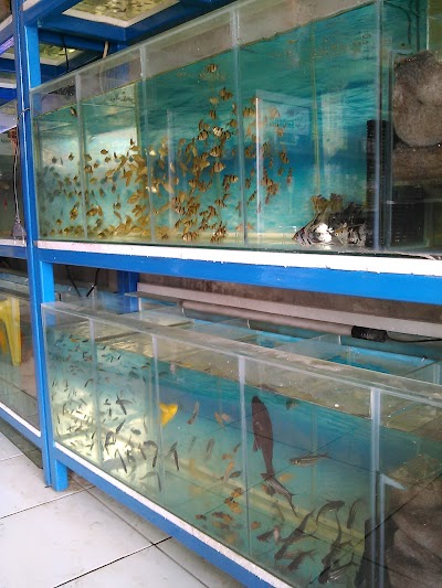 Aquarium