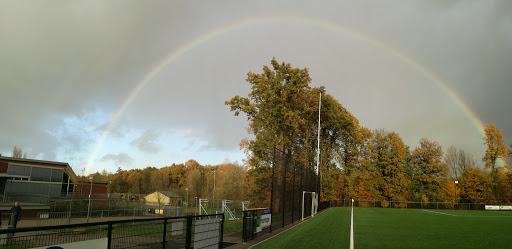 S.V Brunssum - Thumbnail