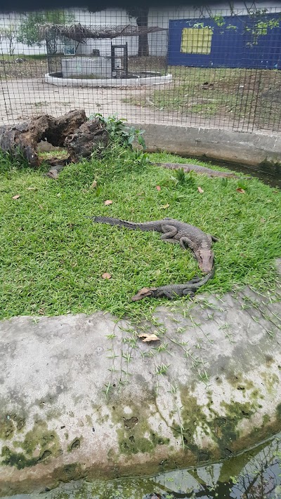 Photos of Jardin Zoologique