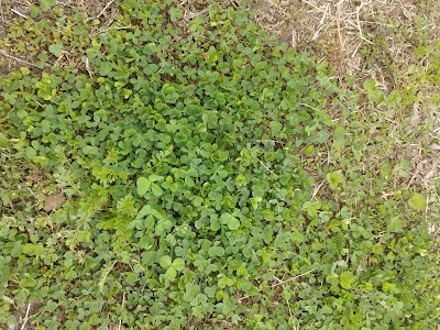 Photos of 초롱공원