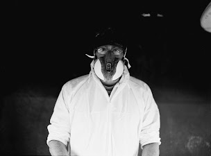 Photo n°13 de Soul surfer's surfboards lacanau olivier labat propose fabrication reparation surfboards à Lacanau (Magasin de surf)