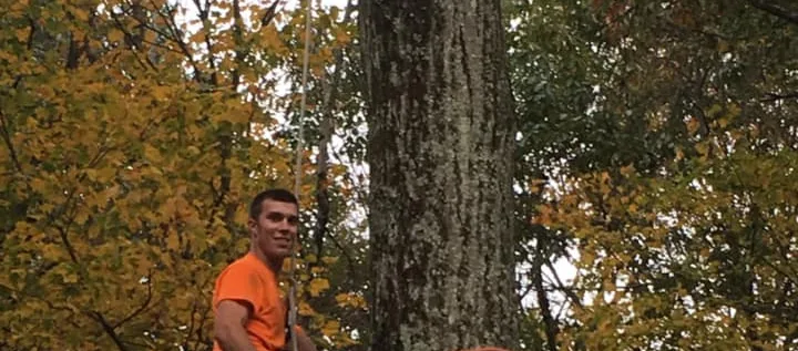 Tri State Tree Service & Landscaping