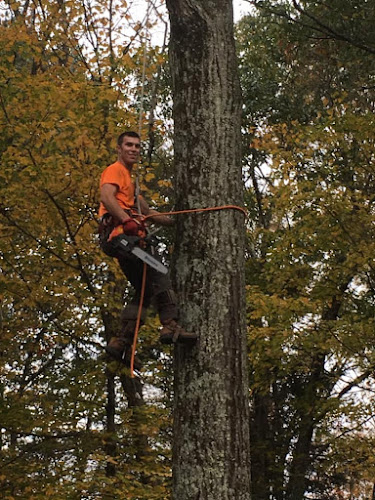 Tri State Tree Service & Landscaping