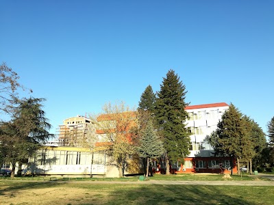 university