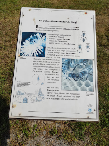 Naturgarten Lindenallee - Thumbnail